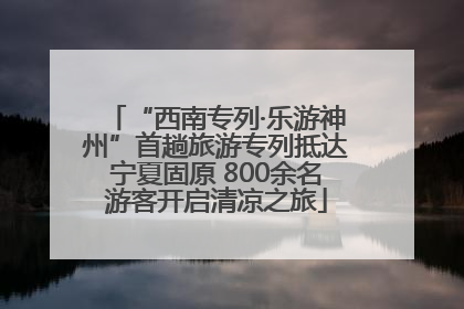 “西南专列·乐游神州”首趟旅游专列抵达宁夏固原 800余名游客开启清凉之旅