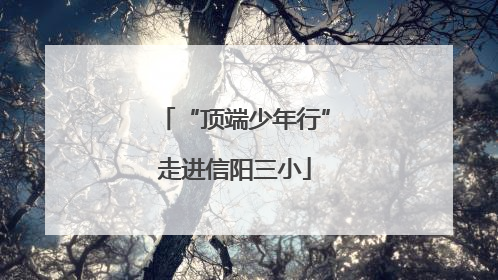 “顶端少年行”走进信阳三小