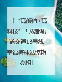 “高颜值+高科技”！成都轨道交通13号线幸福梅林站惊艳亮相