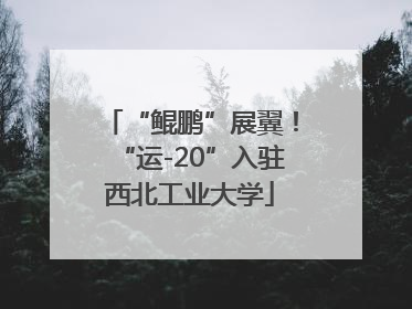 “鲲鹏”展翼！“运-20”入驻西北工业大学