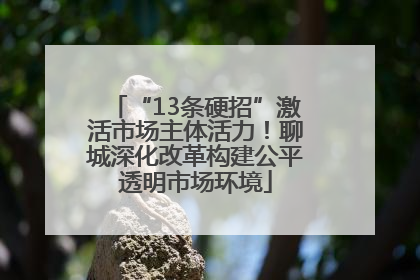 “13条硬招”激活市场主体活力！聊城深化改革构建公平透明市场环境