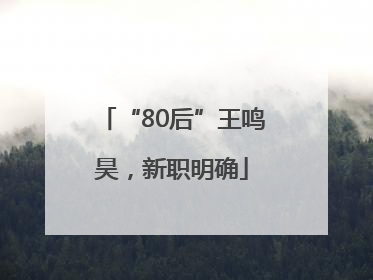 “80后”王鸣昊，新职明确
