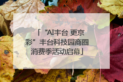 “AI丰台 更京彩”丰台科技园商圈消费季活动启幕