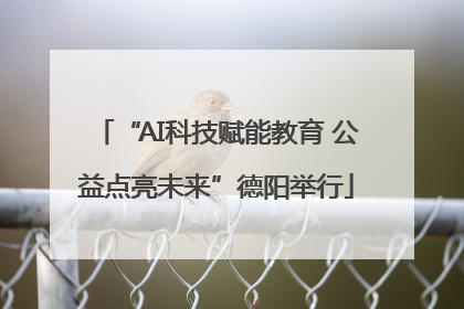 “AI科技赋能教育 公益点亮未来”德阳举行