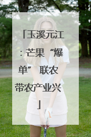 玉溪元江：芒果“爆单” 联农带农产业兴