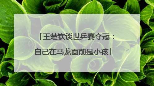 王楚钦谈世乒赛夺冠：自己在马龙面前是小孩