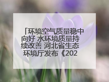 环境空气质量稳中向好 水环境质量持续改善 河北省生态环境厅发布《2024年河北省生态环境状况公报》