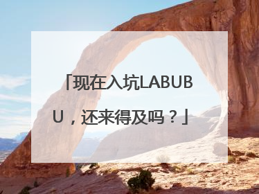 现在入坑LABUBU，还来得及吗？