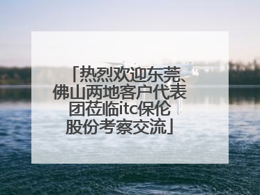 热烈欢迎东莞、佛山两地客户代表团莅临itc保伦股份考察交流