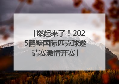燃起来了！2025鹤壁国际匹克球邀请赛激情开赛