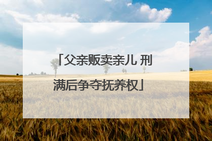 父亲贩卖亲儿 刑满后争夺抚养权
