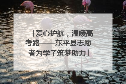 爱心护航，温暖高考路——东平县志愿者为学子筑梦助力
