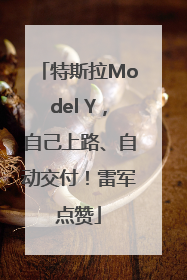 特斯拉Model Y，自己上路、自动交付！雷军点赞