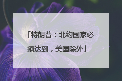 特朗普：北约国家必须达到，美国除外