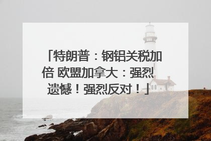 特朗普：钢铝关税加倍 欧盟加拿大：强烈遗憾！强烈反对！