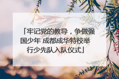 牢记党的教导，争做强国少年 成都成华特校举行少先队入队仪式