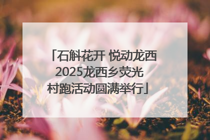 石斛花开 悦动龙西 2025龙西乡荧光村跑活动圆满举行