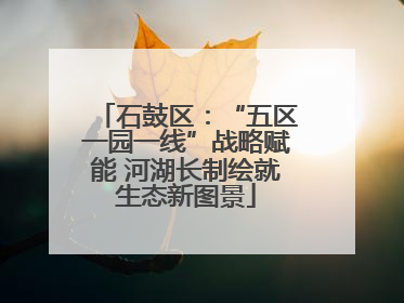 石鼓区：“五区一园一线”战略赋能 河湖长制绘就生态新图景