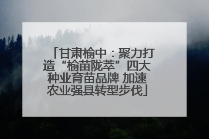 甘肃榆中：聚力打造“榆苗陇萃”四大种业育苗品牌 加速农业强县转型步伐