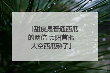 甜度是普通西瓜的两倍 襄阳首批太空西瓜熟了