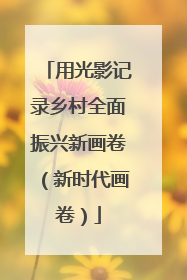 用光影记录乡村全面振兴新画卷（新时代画卷）