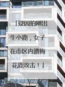疑因拍刚出生小鹿，女子在市区内遭梅花鹿攻击！