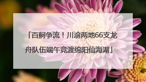百舸争流！川渝两地66支龙舟队伍端午竞渡绵阳仙海湖