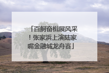 百舸奋楫展风采！张家浜上演陆家嘴金融城龙舟赛