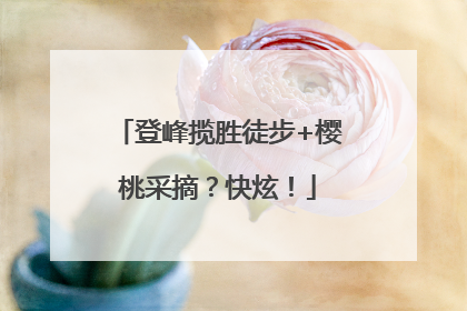 登峰揽胜徒步+樱桃采摘？快炫！