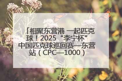 相聚东营港 一起匹克球！2025“李宁杯”中国匹克球巡回赛—东营站（CPC—1000）暨“好运山东”黄河口匹克球公开赛落幕