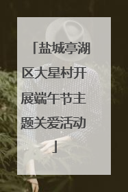 盐城亭湖区大星村开展端午节主题关爱活动