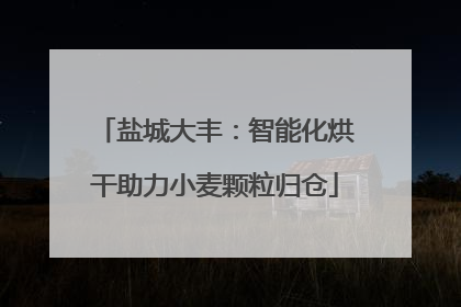 盐城大丰：智能化烘干助力小麦颗粒归仓