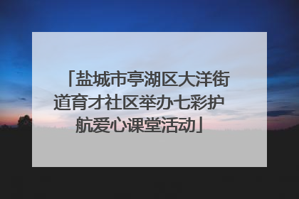 盐城市亭湖区大洋街道育才社区举办七彩护航爱心课堂活动