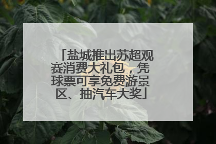 盐城推出苏超观赛消费大礼包，凭球票可享免费游景区、抽汽车大奖