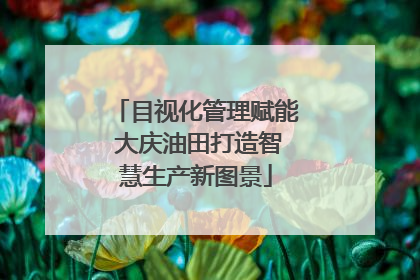 目视化管理赋能 大庆油田打造智慧生产新图景
