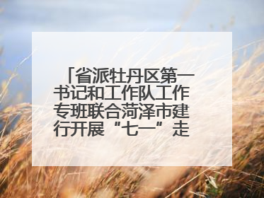 省派牡丹区第一书记和工作队工作专班联合菏泽市建行开展“七一”走访慰问暨红色教育活动