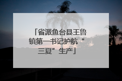 省派鱼台县王鲁镇第一书记护航“三夏”生产