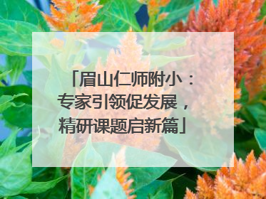 眉山仁师附小：专家引领促发展，精研课题启新篇