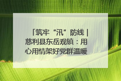 筑牢“汛”防线｜慈利县东岳观镇：用心用情架好党群温暖悠长的“连心桥”