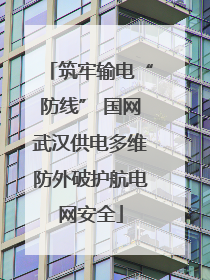 筑牢输电“防线” 国网武汉供电多维防外破护航电网安全