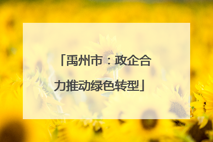 禹州市：政企合力推动绿色转型