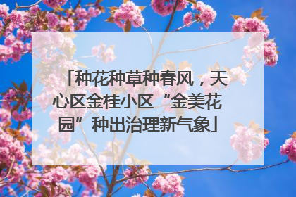 种花种草种春风，天心区金桂小区“金美花园”种出治理新气象
