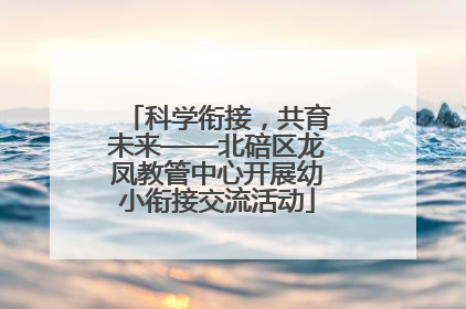 科学衔接，共育未来——北碚区龙凤教管中心开展幼小衔接交流活动