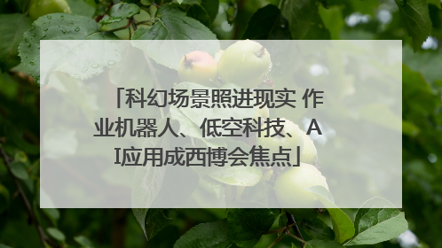 科幻场景照进现实 作业机器人、低空科技、AI应用成西博会焦点