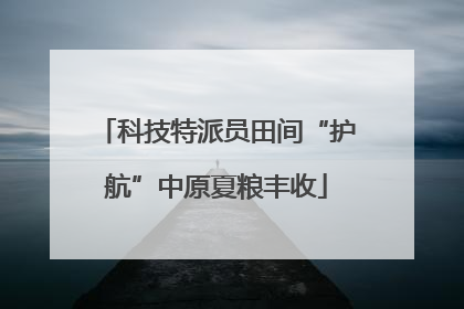 科技特派员田间“护航”中原夏粮丰收