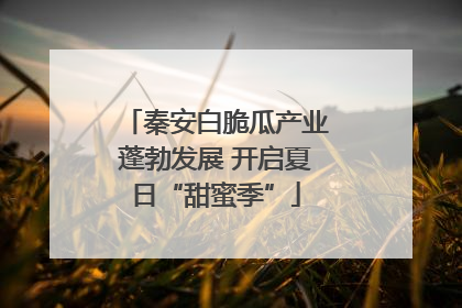 秦安白脆瓜产业蓬勃发展 开启夏日“甜蜜季”
