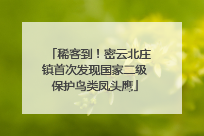 稀客到！密云北庄镇首次发现国家二级保护鸟类凤头鹰