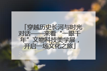 穿越历史长河与时光对话——来看“一眼千年”文物科技美学展，开启一场文化之旅