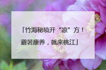 竹海秘境开“凉”方！避暑康养，就来桃江