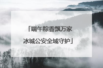 端午粽香飘万家 冰城公安全域守护